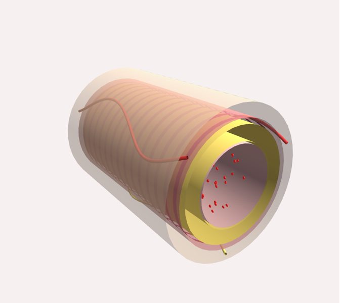 Arteria (histología) en 3D