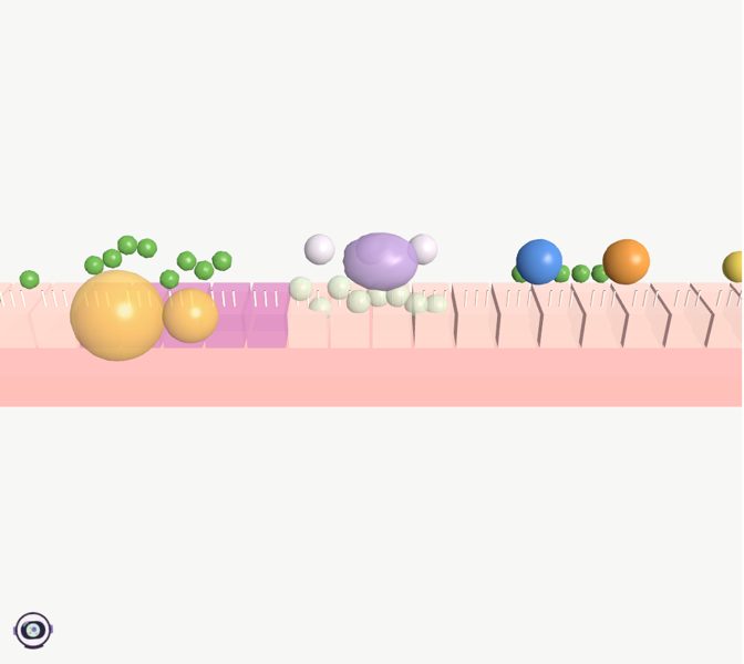 Battle against a cold in 3D