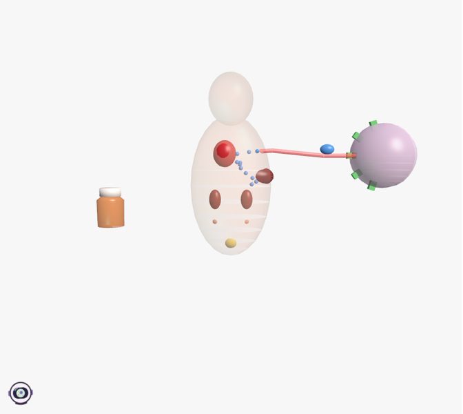 A medicine's journey in 3D