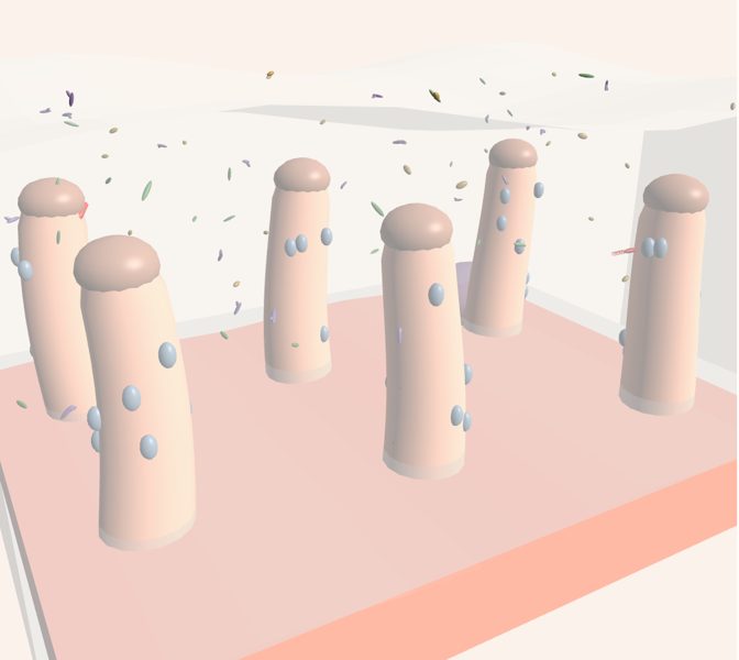 Intestino y microbiota en 3D