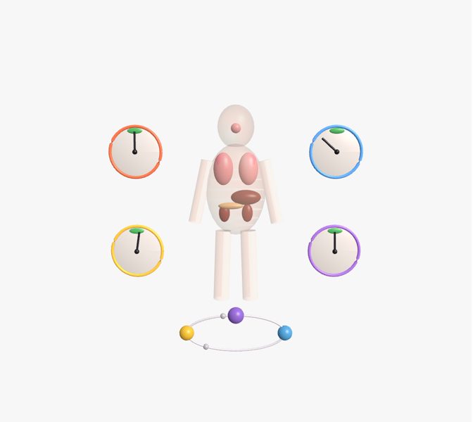 Homeostasis: el cuerpo en equilibrio en 3D