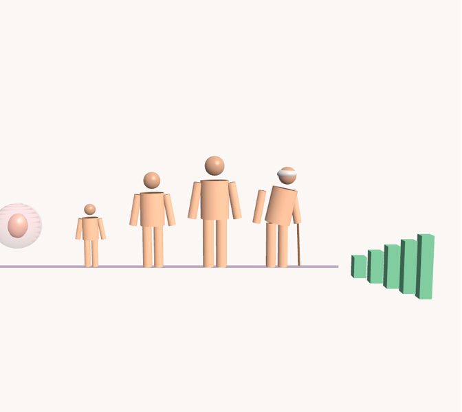 Etapas de la vida en 3D