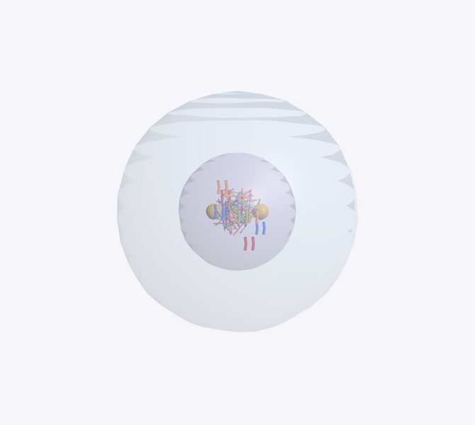 División celular (mitosis) en 3D